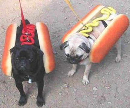 2 x hotdogs